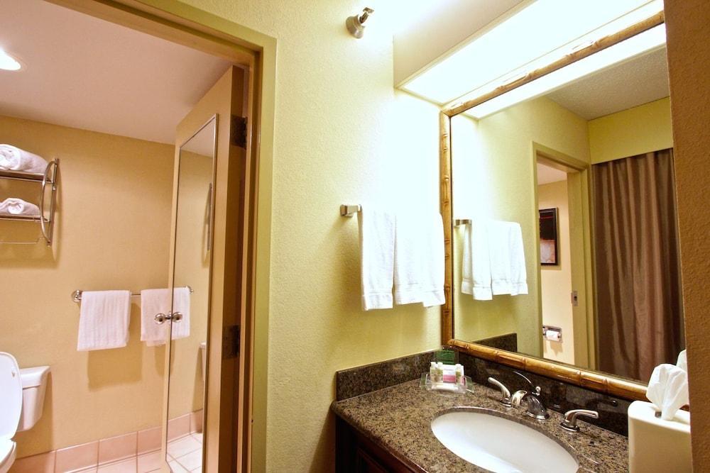 Hotel Westshore - Airport Area By Ihg 3*